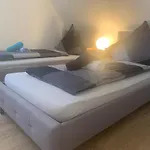 & 3* 알브쉬타트